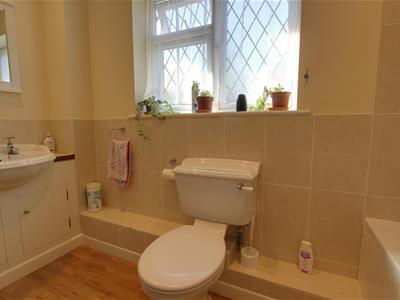 Picture 29